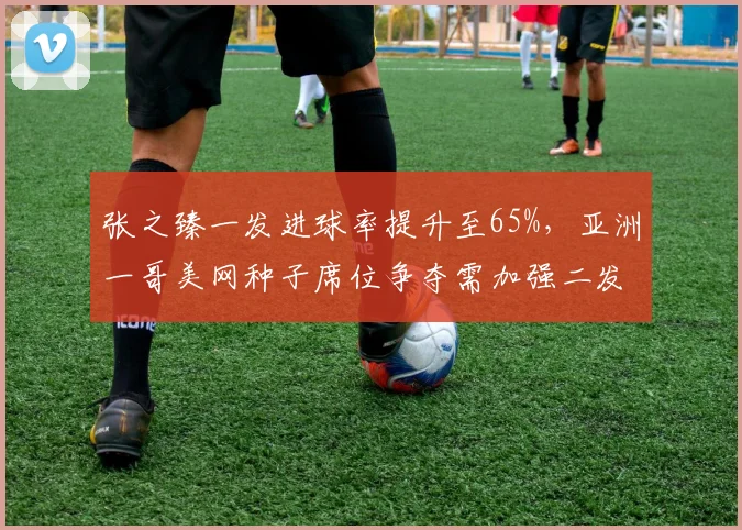 张之臻一发进球率提升至65%，亚洲一哥美网种子席位争夺需加强二发